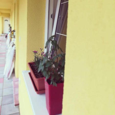 Zlatno 66 Bed & Breakfast ซลอเต โมราฟเช ภายนอก รูปภาพ